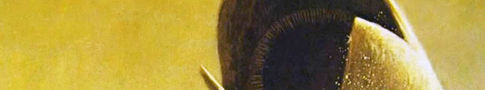 Dune